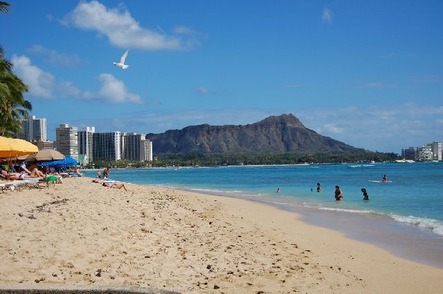2010年 ハワイ社員旅行 (45)